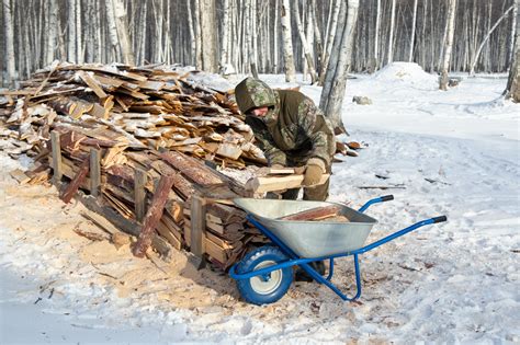 A Man Chopping the Tree using Axe · Free Stock Photo