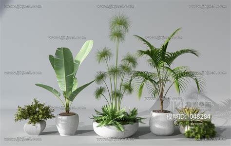 H43 0629植物盆景盆栽绿植花盆3d模型下载 【集简空间】「每日更新」