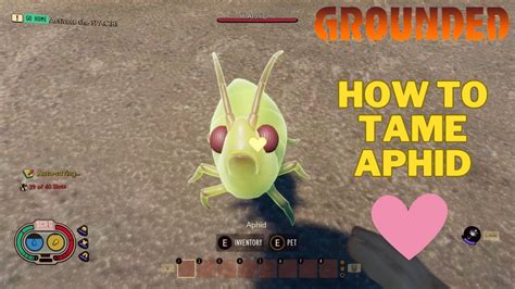 How To Tame An Aphid In Grounded Grounded Guide Youtube