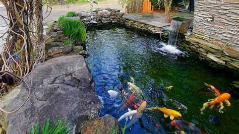 How To Build Your Own Fish Pond That Lasts