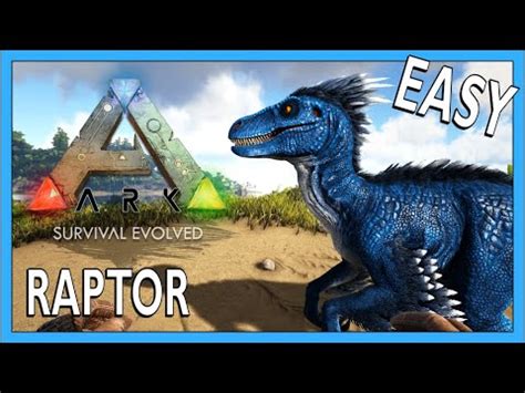 How To Tame A Raptor In Ark Survival Evolved YouTube