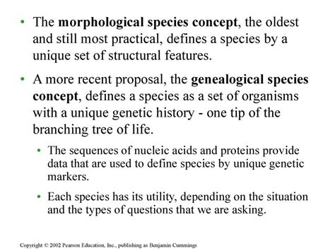 Chapter 24 The Origin Of Species Section A What Is A Species Ppt