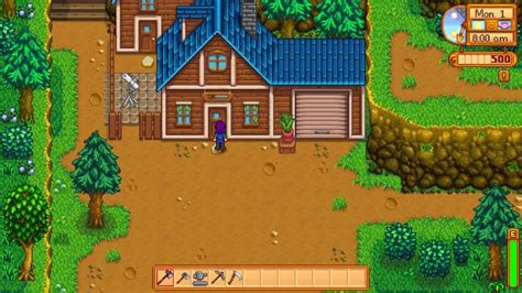 Where Does Robin Live In Stardew Valley?