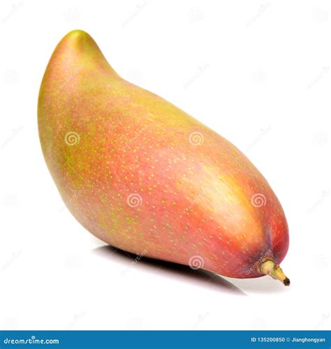 Big mango fruit stock photo. Image of delicious, background - 135200850