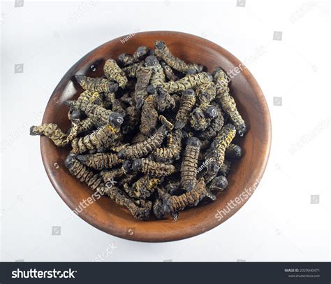 Types Of Worms: Over 1,243 Royalty-Free Licensable Stock Photos ...