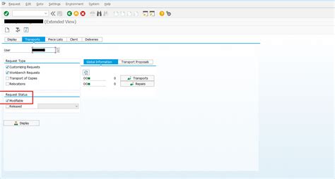 What Is Transport Request In Sap Sap Transport Request