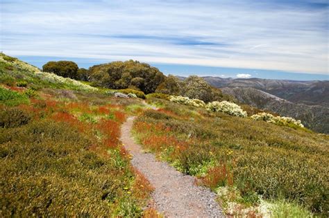 premium photo  summit trail  mt buller   hot summers day