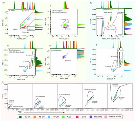 Gating Strategy For The Beads And Cell Samples Used To Validate The