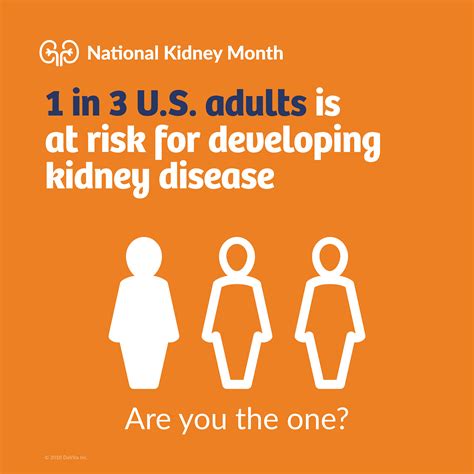 Take Control Of Your Kidney Health During National Kidney Month