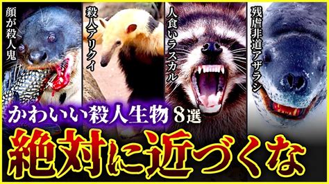 【ゆっくり解説】かわいいフリして危険な生物8選 鬼神オオカワウソ ラスカルは人を食べる オオアリクイ殺人は真実だった Youtube