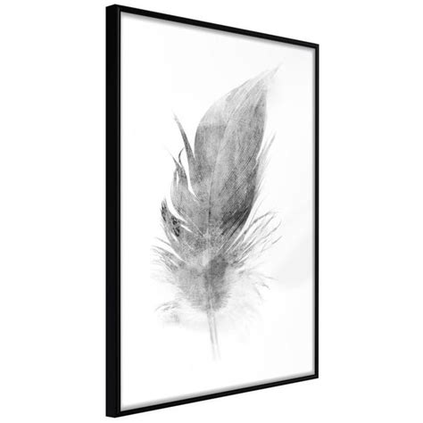 Poster Et Affiche Lost Feather Grey 40x60 Leroy Merlin