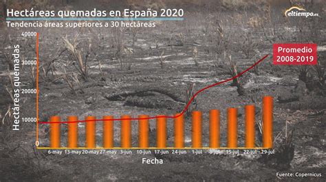 Los incendios forestales se reducen hasta un 43 respecto al año pasado