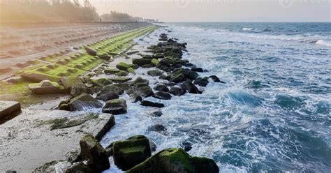 Coastal Erosion Protection, Moss Covered Tetrapods Sea Waves 42517672