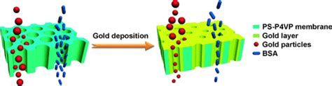 Self‐assembled Isoporous Block Copolymer Membranes With Tuned Pore Sizes Yu 2014