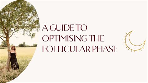 Harmonizing with Your Flow: A Guide to Optimizing the Follicular Phase