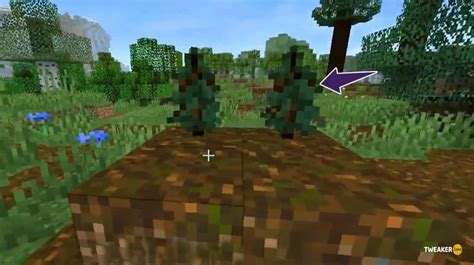 Minecraft Spruce Tree: Everything You Should Know - Tweakerzone