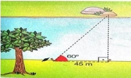 Para Calcular A Largura De Um Rio Uma Pessoa Usou Dois Peda Os De