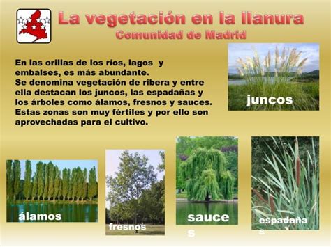 El suelo la vegetación y la fauna PPT