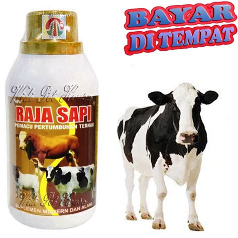 Jual VITAMIN RAJA SAPI KAMBING KERBAU PENAMBAH BERAT BADAN NAFSU MAKAN