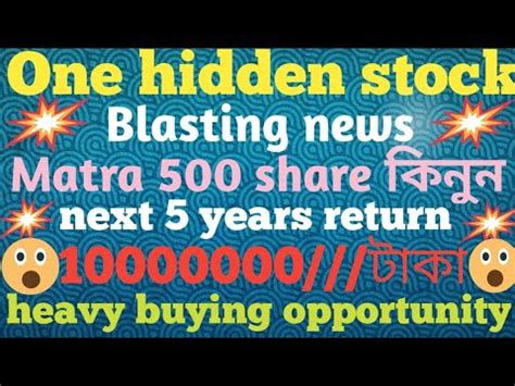 All Most Multi Bagger Stock And Best Return In 2023 Tamal Investing