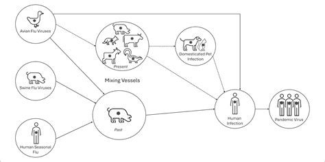 CDC Warns Of Cow To Human Transmission Of H5N1 Bird Flu In Texas