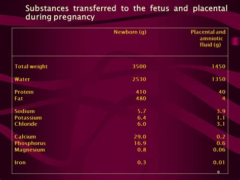 1 Nutritional Aspect Of Pregnancy Teaching Team Of Nutrition Throughout Life Cycle Giz