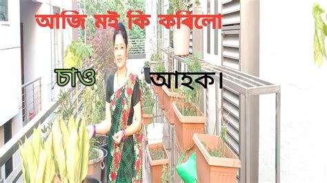 আজি মই কি কৰিলো চাও আহক Llmy Second Vlog Ll Munmi Vlog Official 🥰 Youtube