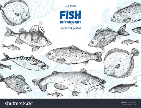 Fish Sketch Collection Hand Drawn Vector Royalty Free Stock Vector