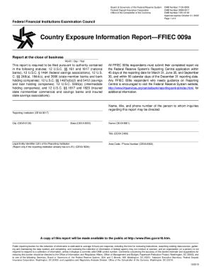 Fillable Online FFIEC 009a Reporting Form Fax Email Print PdfFiller