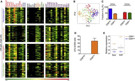 Single Cell Transcriptional Profiling Reveals Cellular Heterogeneity