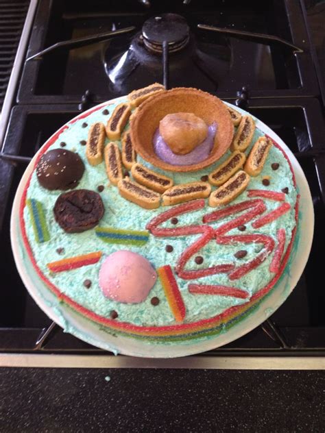 Edible Cell Cell Cake Edible Cell Project Plant Cell Project Cell