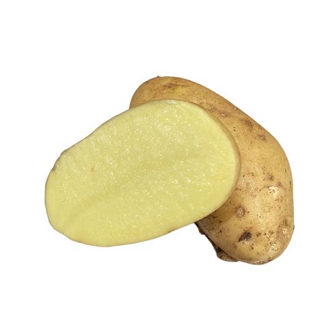 Pomme De Terre Spunta Maison Houver