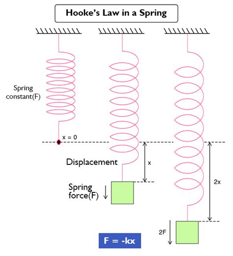 Hooke S Law Definition Javatpoint