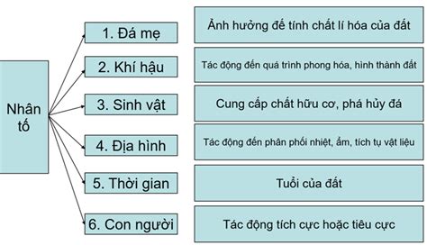 Vẽ Sơ đồ Thể Hiện Các Nhân Tố Hình Thành đất