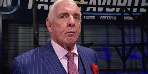 Ric Flair Comments On WWE Plane Ride From Hell Dark Side Of The Ring