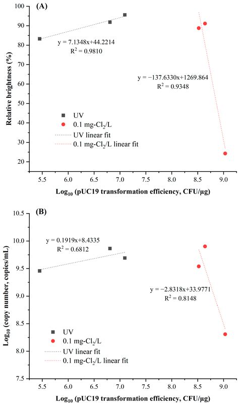 Water Free Full Text Decreased Efficiency Of Free Naked Dna