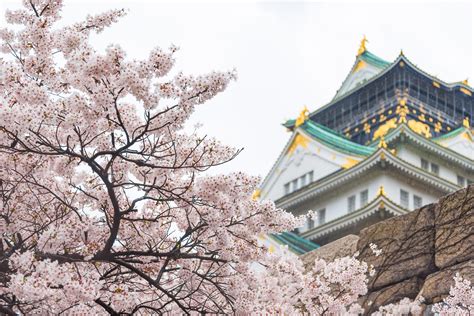 How To Experience Cherry Blossom Season In Osaka 2021 Travel