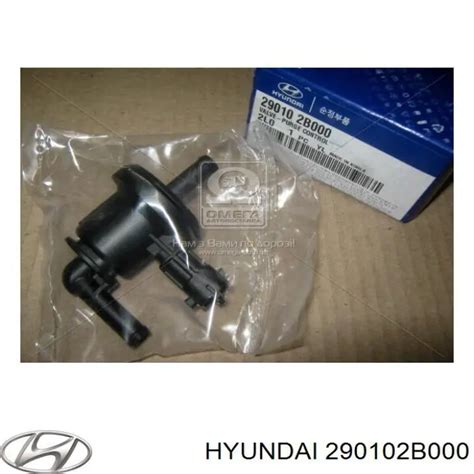 B Hyundai Kia