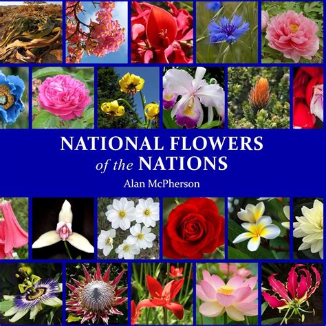 National Flowers Ubicaciondepersonas Cdmx Gob Mx