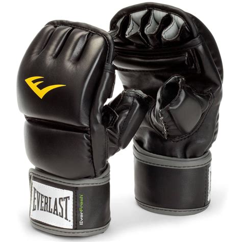 Everlast Heavy Bag Boxing Gloves Literacy Basics