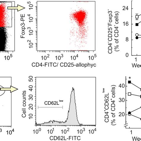 Effect Of B Garinii On T Reg Cell Expression And CD62L Shedding In