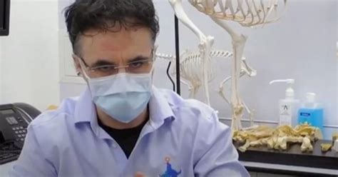 Supervet Noel Fitzpatrick Admits Its All Gone T S Up After