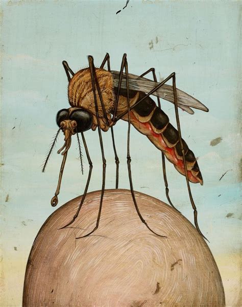 Pin By Lydia Van Alsenoy On Bugs Entomology Illustration Insect Art