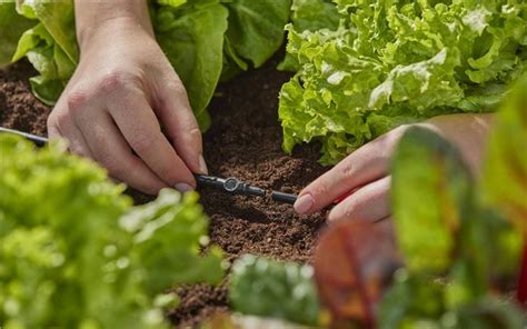 Extension de tuyau à goutteurs intégrés de surface GARDENA