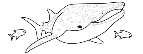 Lemon Shark Coloring Page at GetColorings.com | Free printable ...