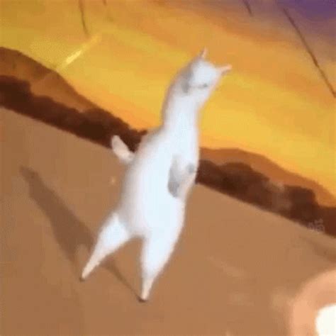 Llama Dancing GIF - Llama Dancing Moves - Discover & Share GIFs