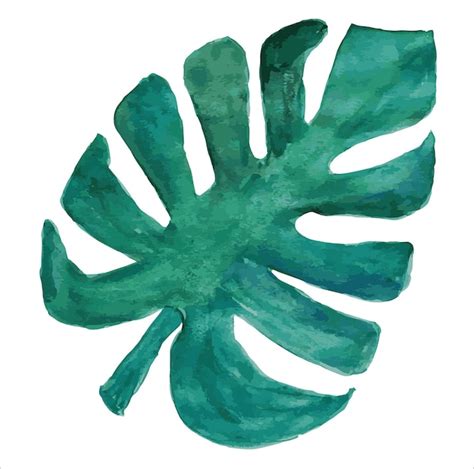 Illustration Aquarelle De Feuille De Monstera Feuille Tropicale