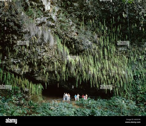 Fern Grotto Hawaii Kauai Usa Stock Photo 8799247 Alamy