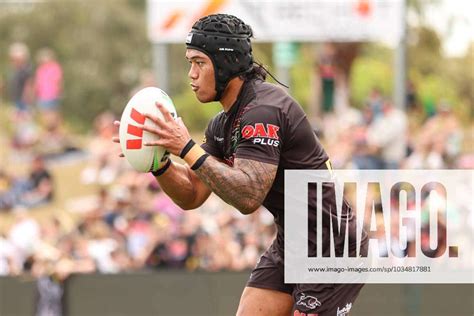 Nrl Panthers Training Brian Too Of The Panthers During A Penrith