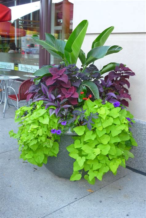 Front porch planters – Artofit